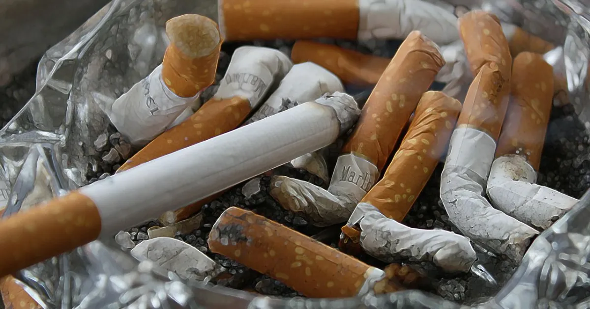 Maços de cigarro em prateleira