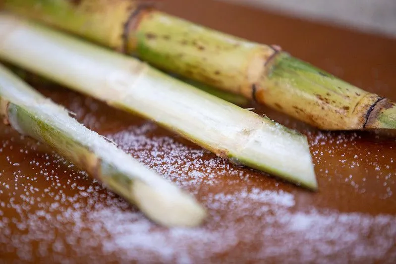 Usina de etanol com tanques de armazenamento