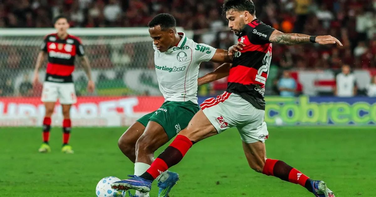 Jogadores do Atlético-MG em campo durante partida do Brasileirão