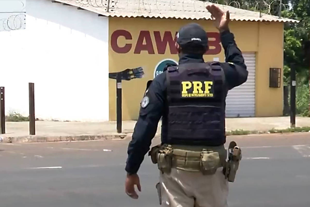 Apreensão de carne de animais silvestres em rodovia federal