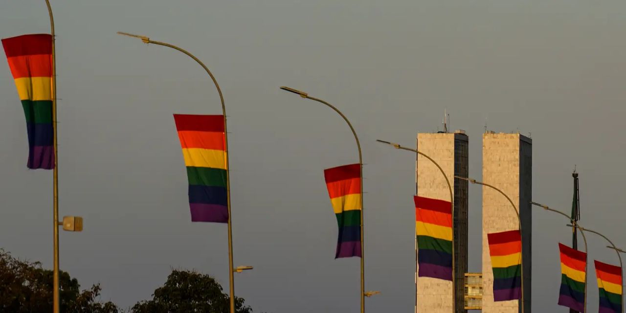 Gráfico do levantamento sobre candidaturas LGBT+