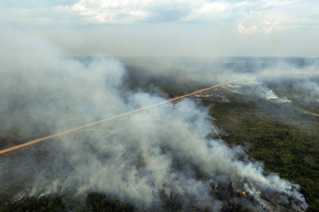 Prédio do STF relacionado a ação sobre crédito rural e desmatamento