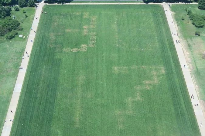 Inscrição 8647 no gramado do National Mall