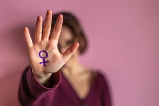 Deputadas na Comissão de Defesa dos Direitos da Mulher em sessão