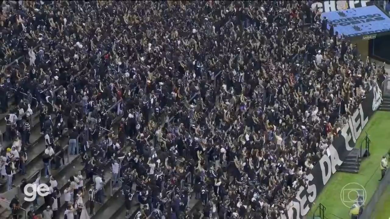 torcedores de costas no momento da entrada em campo