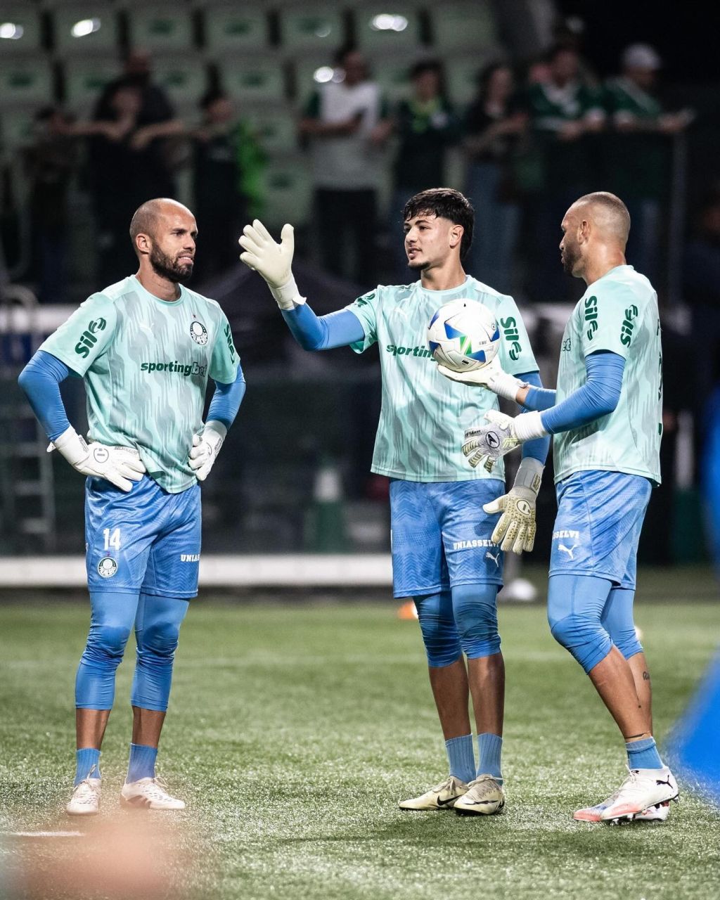 Luiz Sá em ação pelo Palmeiras