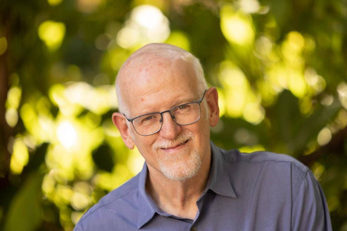 Capa do livro Os 1000 Dias do Bebê