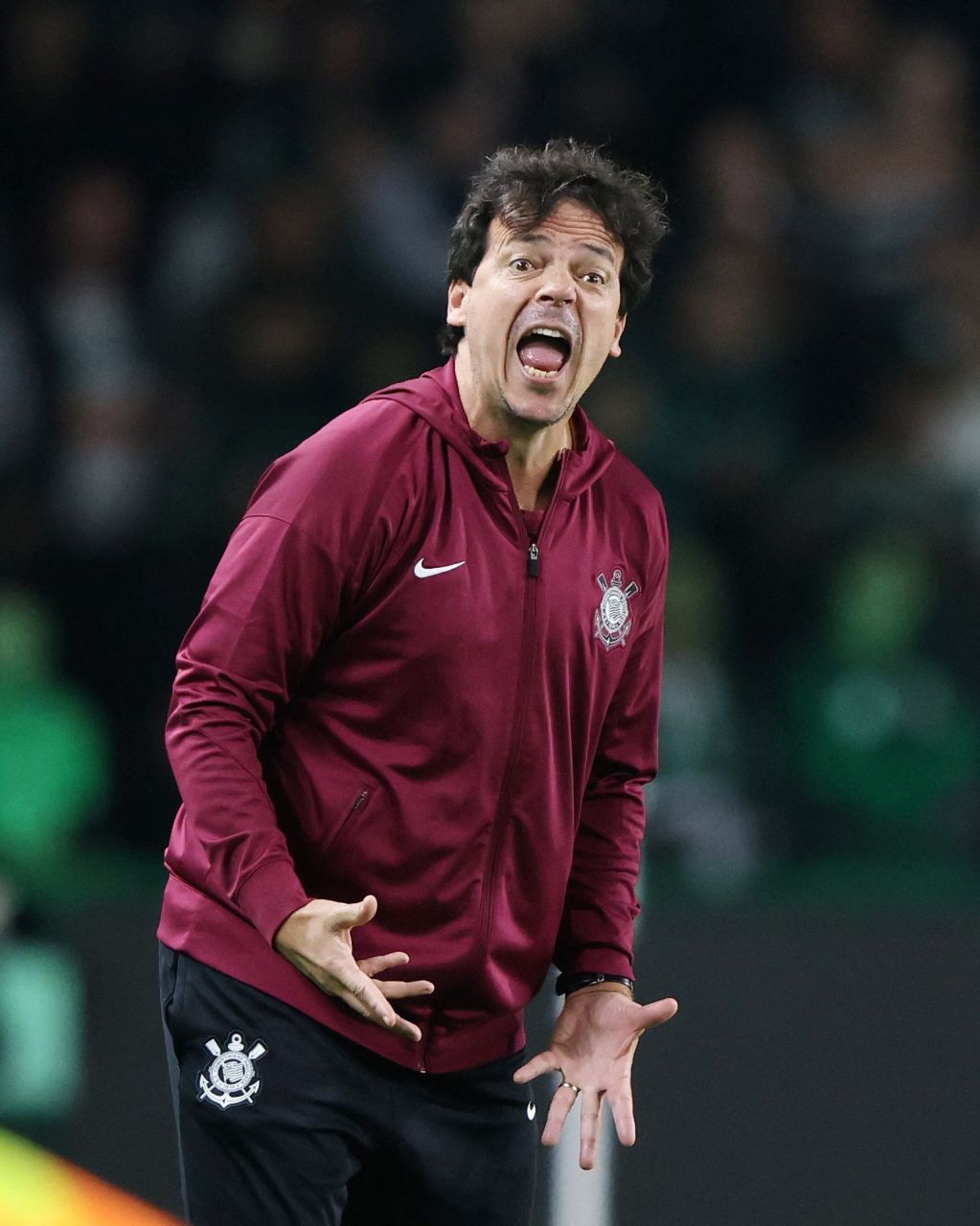 Fernando Diniz durante Corinthians x Coritiba