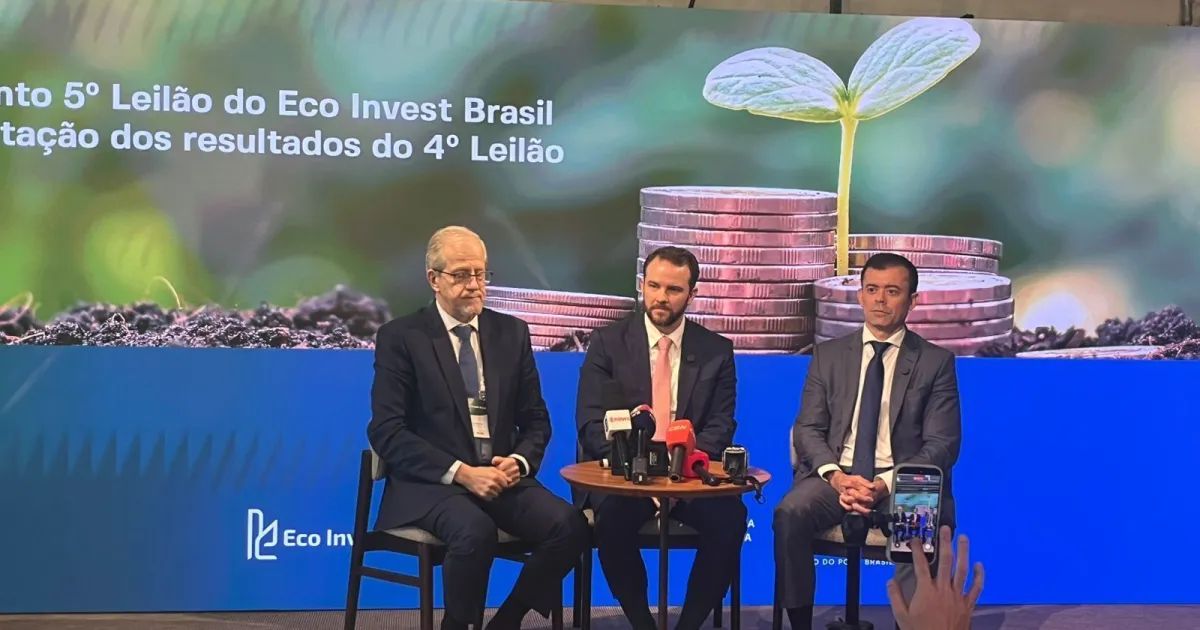 Gráfico de investimentos na Amazônia