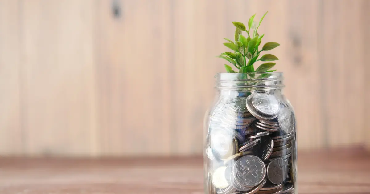 Floresta e gráfico que simbolizam preço do carbono