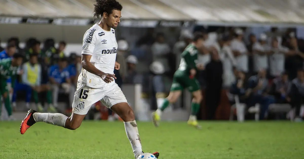 Jogadores do Santos comemoram gol contra o Atlético-MG