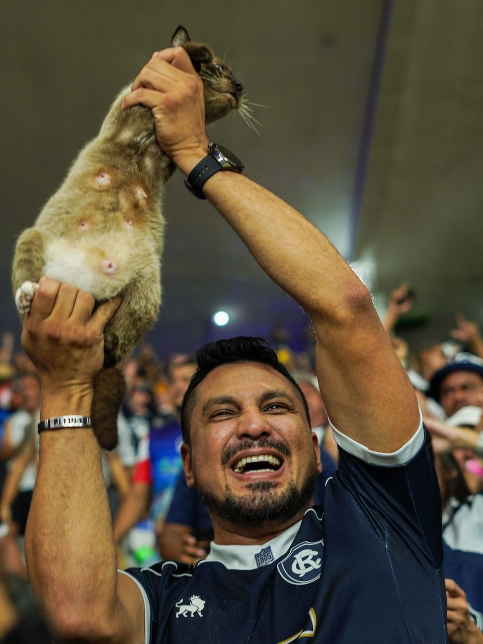 Torcedor do Remo com gata nas arquibancadas do Mangueirão