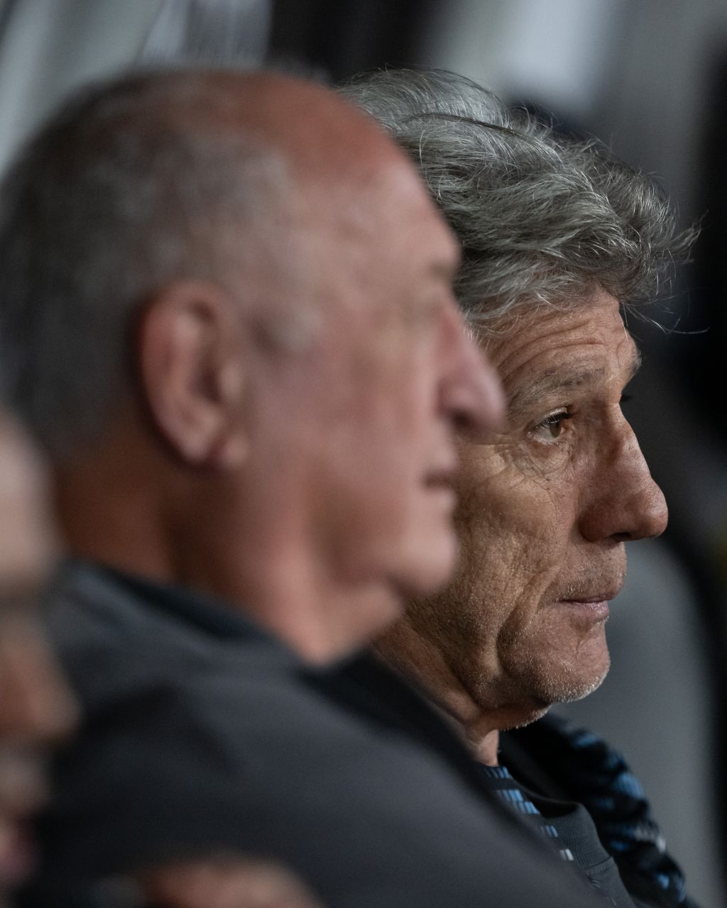 Renato e Felipão no banco durante Botafogo x Grêmio