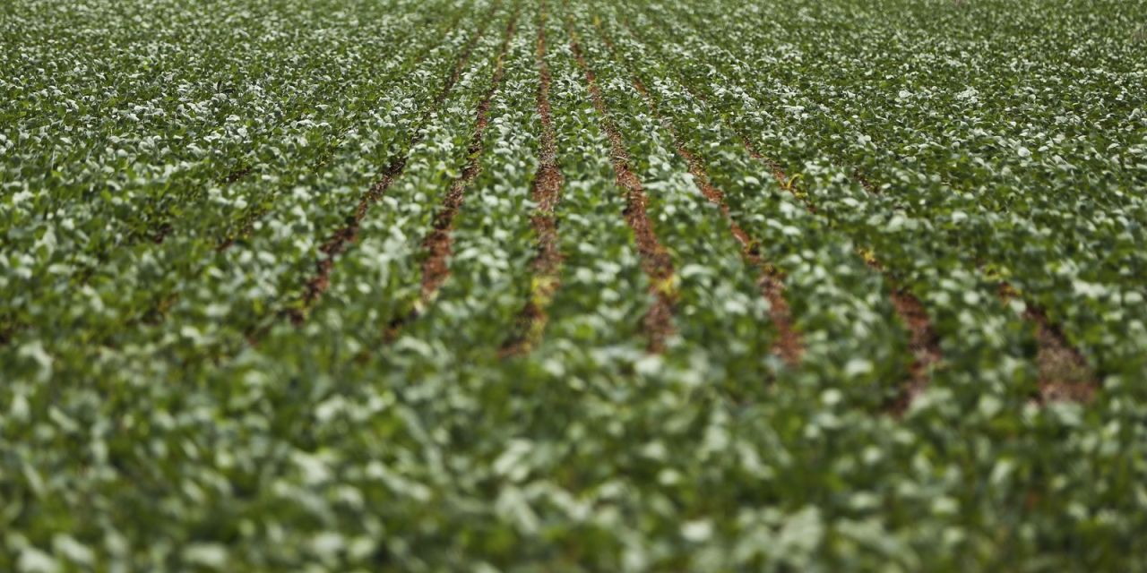 Reunião entre governo e bancada do agro