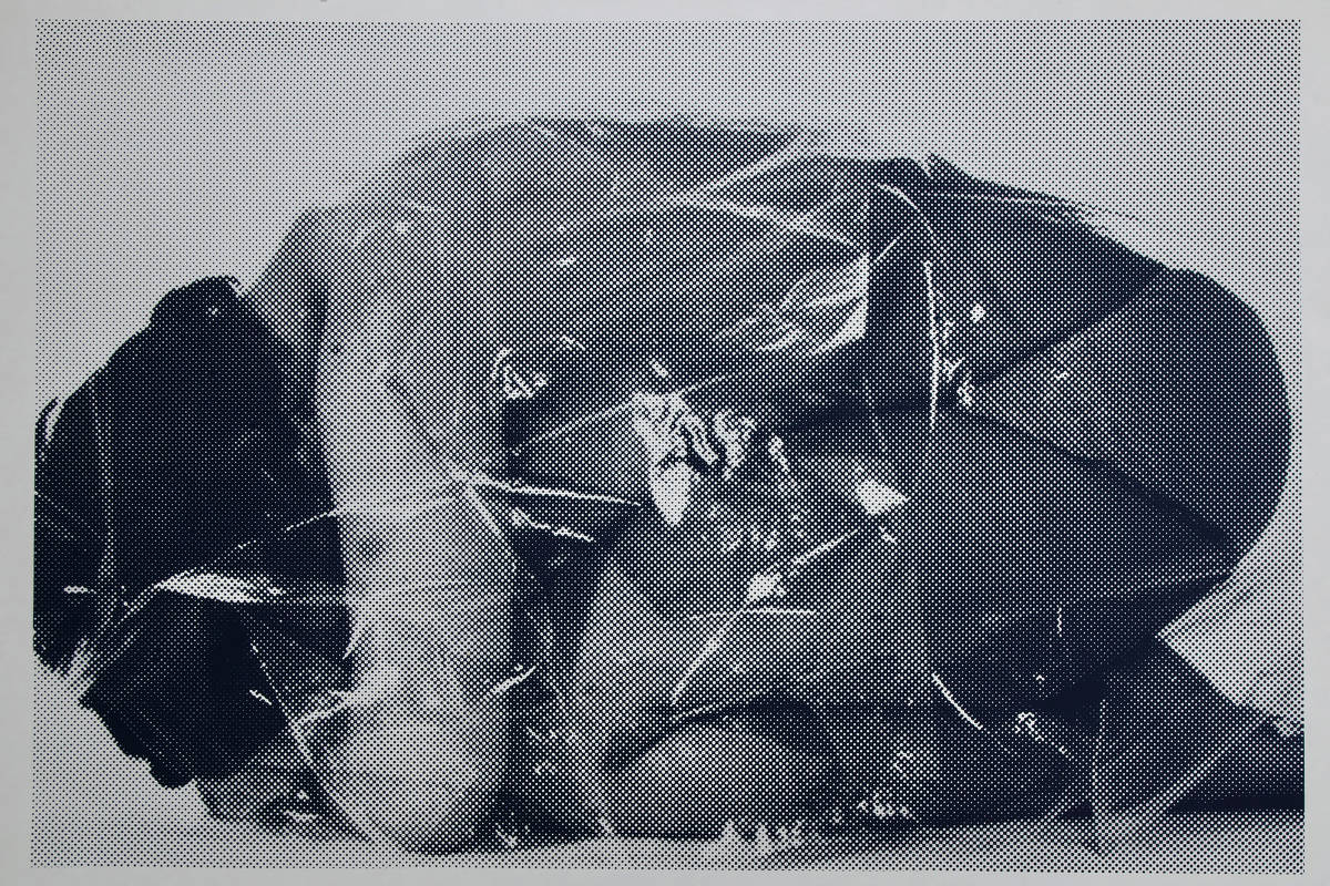 Obra 'Cash on Delivery' de Jana Zelibska, da Coleção Verbund