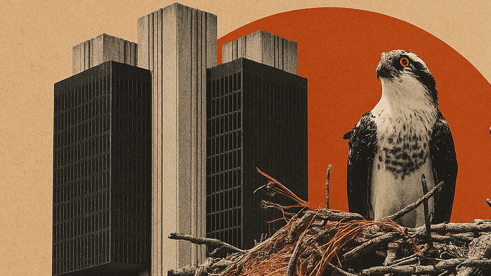 Painel eletrônico do Banco Central com indicadores de juros