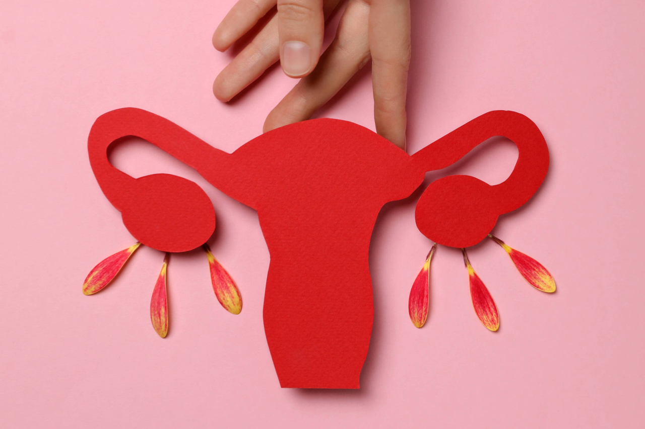 Mulher consultando aplicativo de monitoramento do ciclo menstrual