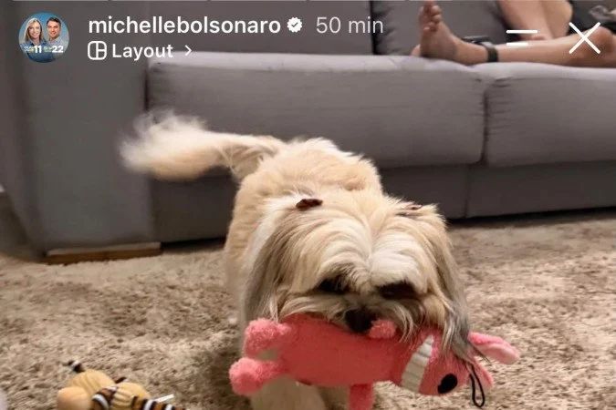 Michelle Bolsonaro em stories com Bolsonaro ao fundo e tornozeleira visível