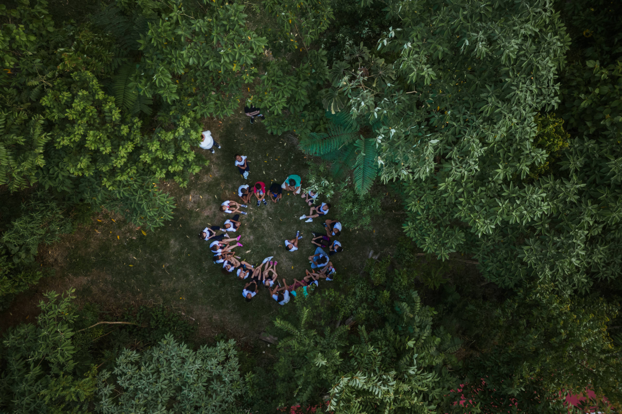 minifloresta urbana recém-plantada em área escolar