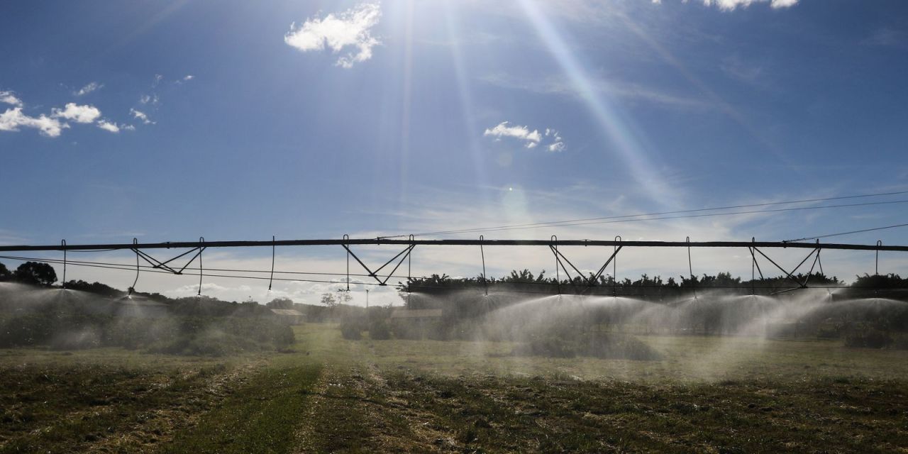 documentos de crédito rural sobre mesa com mãos de agricultor