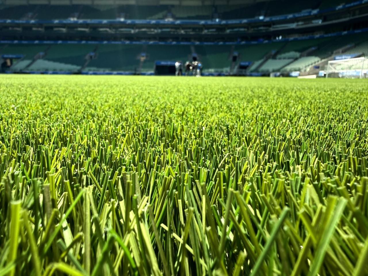 Novo gramado sintético do Allianz Parque mais verde