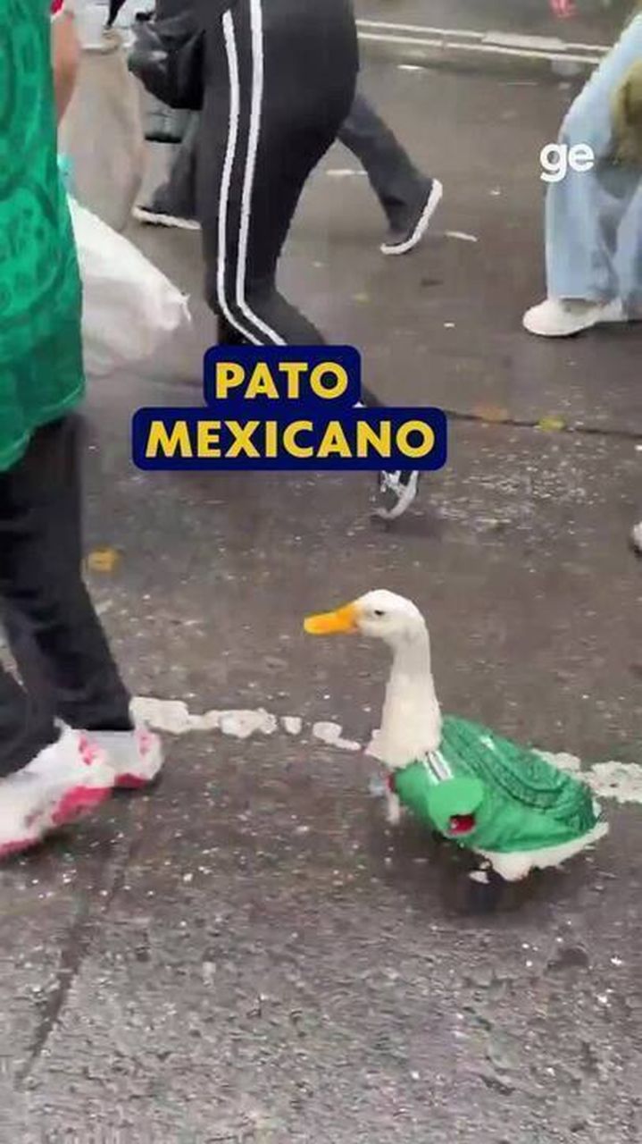 Pato Merlín com a camisa da seleção do México