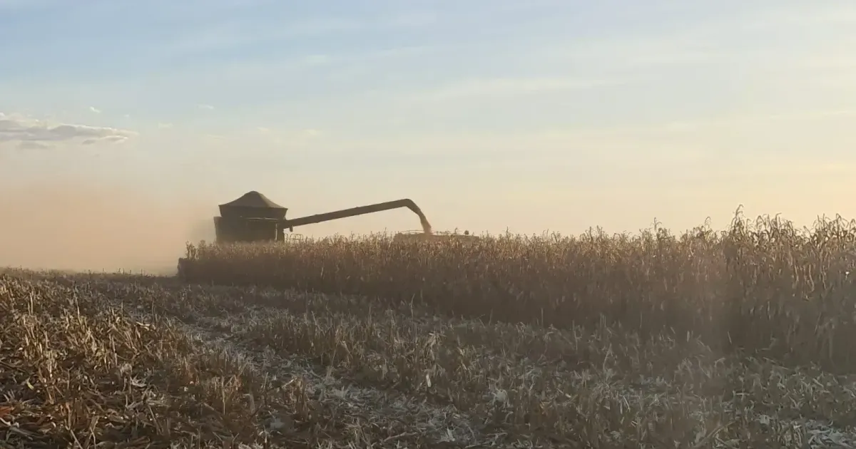 Plataforma de petróleo e navio no mar