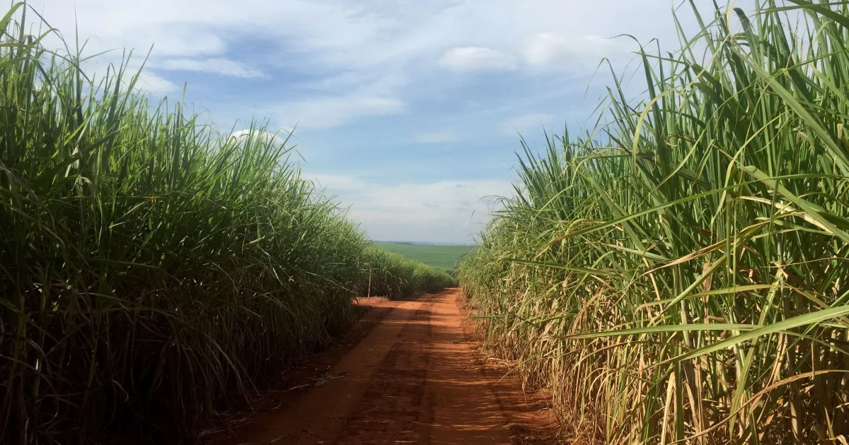 Tanques e bombas de etanol em usina de cana