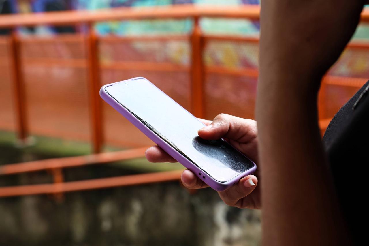 Ruy Castro, escritor e cronista