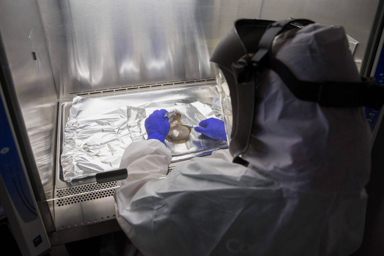 Sequência de DNA antigo em análise