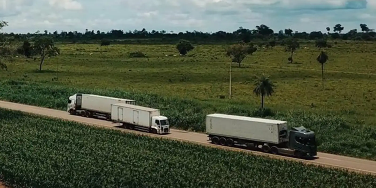 Gráfico IBGE sobre variação dos serviços em fevereiro