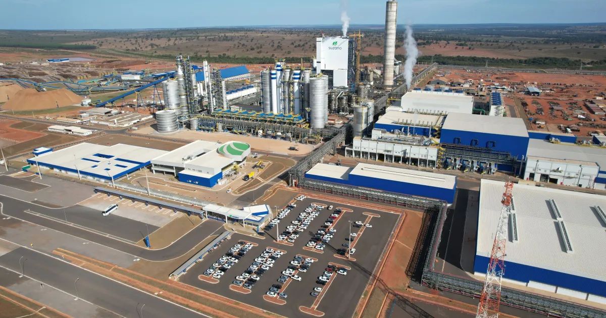Beto Abreu, CEO da Suzano