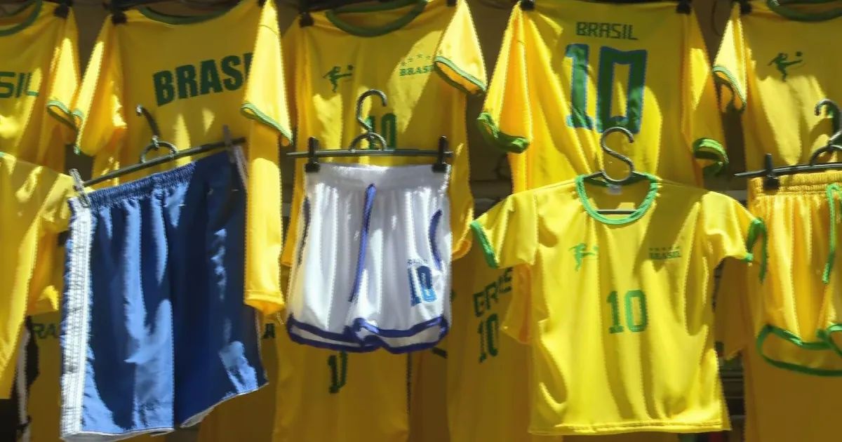 Torcedor com camisa da seleção segurando uma bandeira